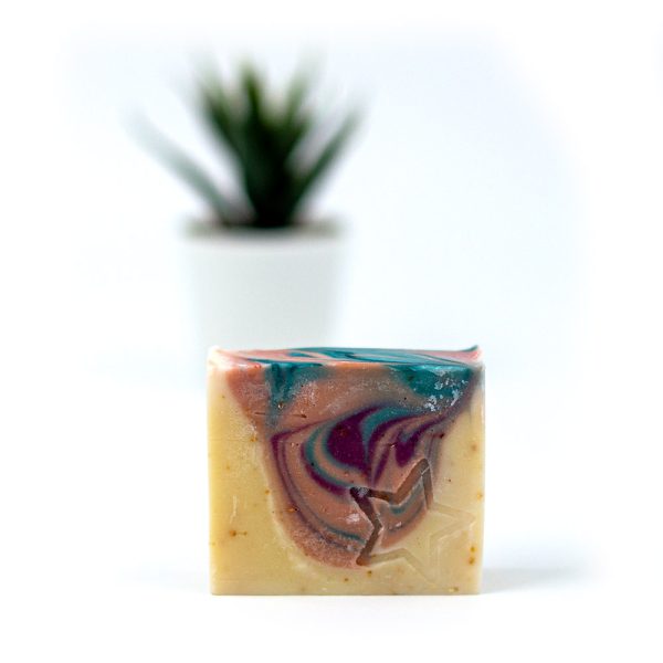 SGE010_3 Gengibre e erva doce