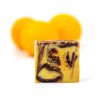 Laranja e chocolate
